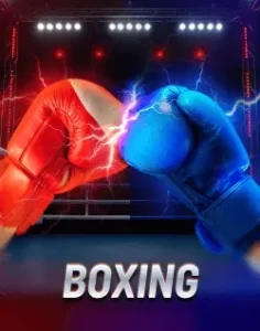 phjewel website image 25 showing boxing